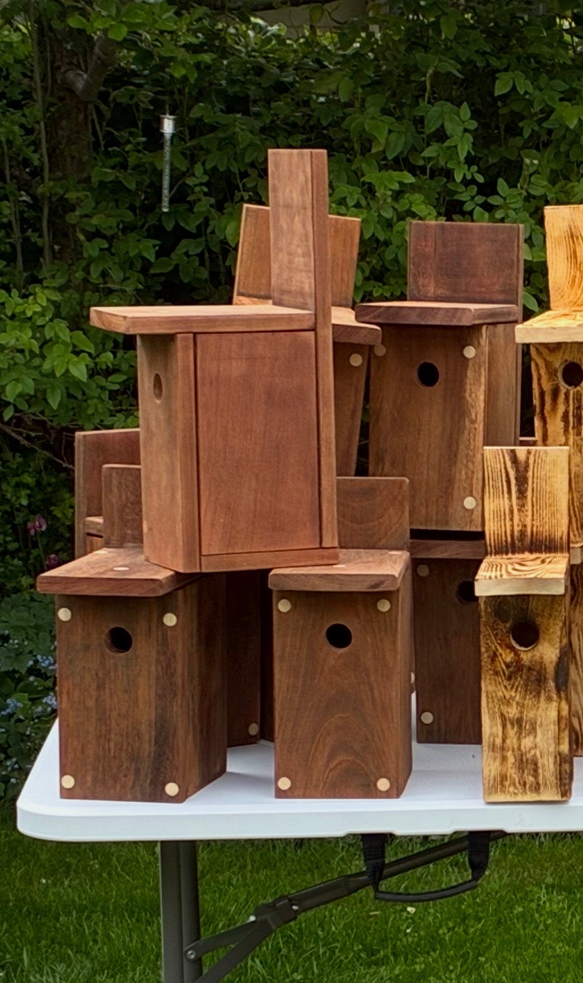 Fuglehuset i jatoba træ